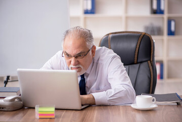 Old male employee working in the office