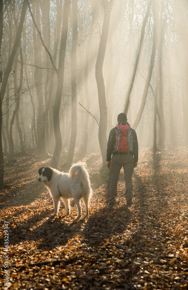 Wall mural happy dog and owner in foggy forest