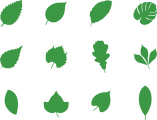 A collection of leaf shapes for artwork compositions