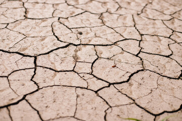 Dry, cracked earth. Drought. Lack of water for irrigation. Agricultural industry.The ground was...