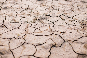Dry, cracked earth. Drought. Lack of water for irrigation. Agricultural industry.The ground was...