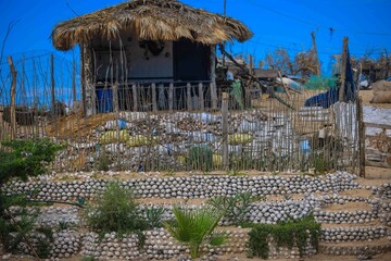 Cabin or house made with wood, plama, ocotillo and recycling of thousands of shelled sea snails in the community and Bahia Kino municipality of Hermosillo 