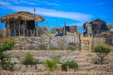 Cabin or house made with wood, plama, ocotillo and recycling of thousands of shelled sea snails in the community and Bahia Kino municipality of Hermosillo 