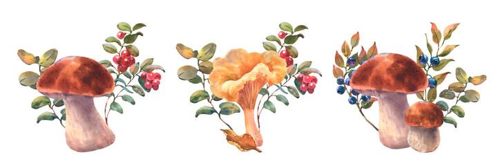 Set of watercolor compositions with mushrooms, Cranberry bushes, Blueberry and autumn leaf. Watercolor hand drawn illustration. Isolated composition on a white background