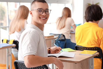 Male student having lesson in classroom