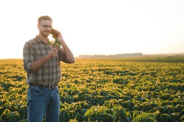 A cute farmer is standing in a soybean field and talking on the phone with his business partner.