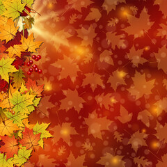 Autumn style elegant vector background. Design for square flyer, invitation card, promo poster, discount coupon, voucher, sale banner