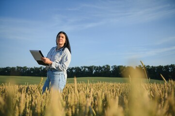 Naklejka na ściany i meble Farmer woman working in wheat field at sunset.