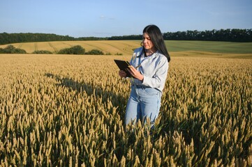 Naklejka na ściany i meble A woman farmer examines the field of cereals and sends data to the cloud from the tablet. Smart farming and digital agriculture.