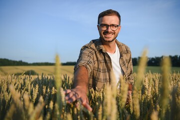 Naklejka na ściany i meble Farmer In Wheat Field At Harvest