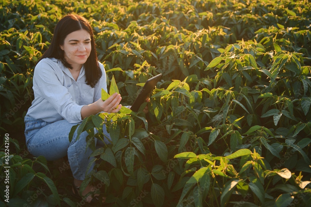 Wall mural Female farmer or agronomist examining green soybean plants in field