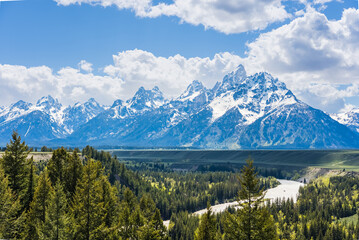 Fototapeta premium Grand Tetons