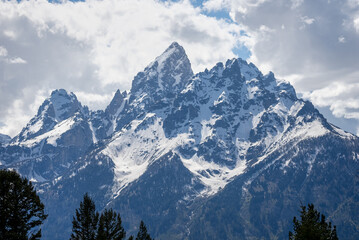 Fototapeta premium Grand Tetons