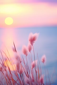Little grass stem close-up with sunset over calm sea, sun going down over horizon. Pink and purple pastel watercolor soft tones. Beautiful nature background.