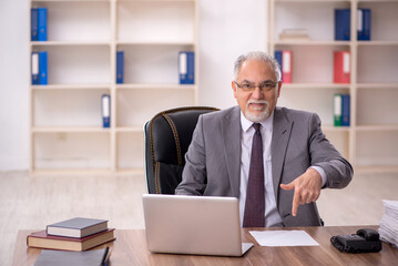 Old male employee working in the office