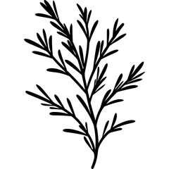 Rosemary plant seasoning herb black silhouette