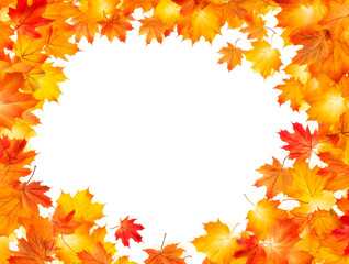 Falling g autumn maple leaves shaped frame. Fall background