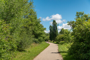 Fototapeta na wymiar Walking path in the park area in clear, warm weather