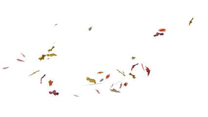 Falling and spinning autumn leaves. autumn season concept