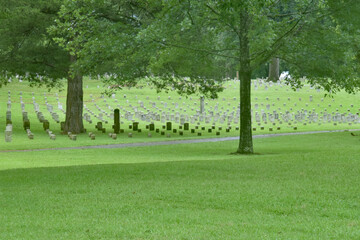 Fototapeta na wymiar Grave Markers in National Cemetery