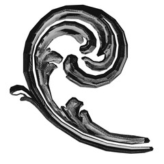 Baroque engrave ornaments. Ornate swirling floral motif