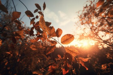 Scenic autumn scene with fluttering leaves against sunset sky, ideal for banners with text space. Generative AI