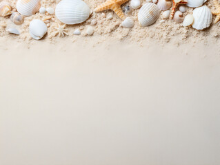 top view Summer time Composition of sea shells on white background
