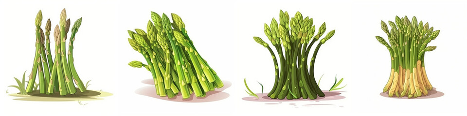 Set of Asparagus vegetables isolated on white background - cartoon