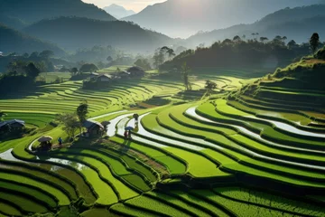 Abwaschbare Fototapete Reisfelder A Glimpse of Rural Beauty: Terraced Rice Fields from Above 