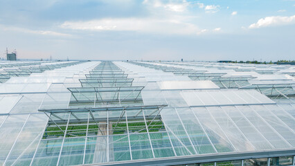 Greenhouse roof with open windows for ventilation