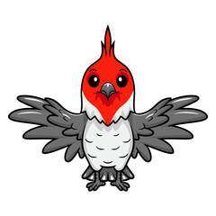 Cute red crested cardinal bird cartoon