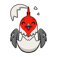 Cute red crested cardinal bird cartoon inside from egg