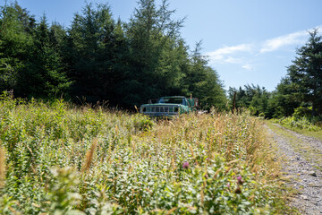 Green Truck in the Grass enjoying retirement