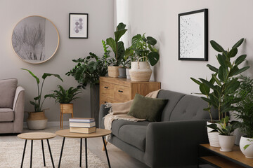Living room with stylish furniture and beautiful houseplants. Interior design
