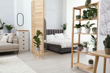 Stylish room with different potted green plants on shelving unit and comfortable bed