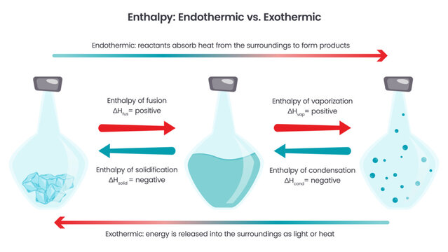 Enthalpy endothermic versus exothermic reactions chemistry vector illustration