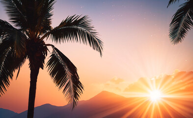 Silhouette palm tree with sunset and sun light. 