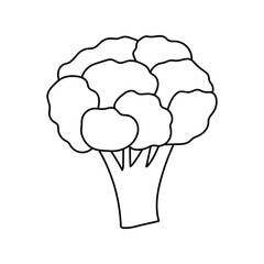 Hand drawn Kids drawing Cartoon Vector illustration brocoli icon Isolated on White Background