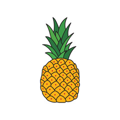 Kids drawing Cartoon Vector illustration pineapple icon Isolated on White Background