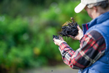 girl holding soil in her hands on a farm