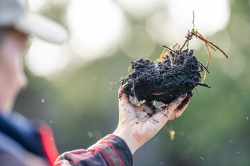 girl holding soil in her hands on a farm