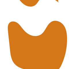 Orange Abstract Shapes Decor