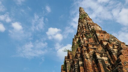 タイを旅行している気分