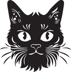 Cat Kitten Baby Pet Animal