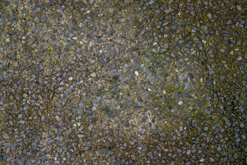 Marble horse table texture background