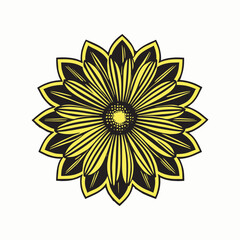 yellow flower isolated on white