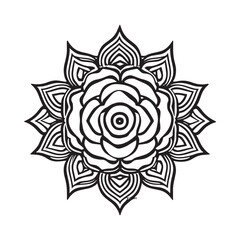 black and white roses