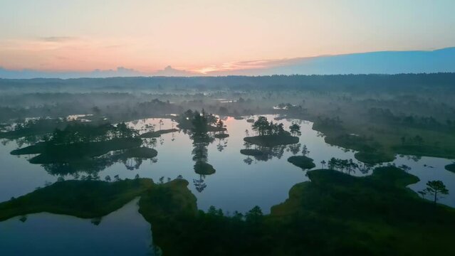 The bogs in the Kemeri National Park wetlands of Latvia - pullback aerial view at dawn
