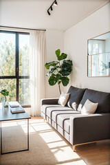 Living modern minimalist room