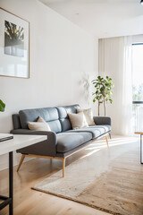Living modern minimalist room